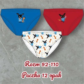 Majtki dziecięcy ,rozm 92-110, paczka 12szt, mix kolor