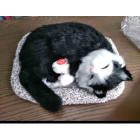 ZABAWKI cute cat.3 SZT / PACZKA, KOLOR JAK NA ZDZIĘCIU