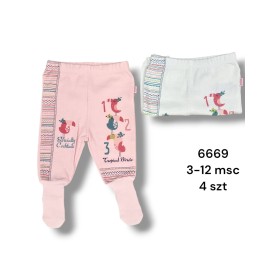 Spodnie DZIECIĘCA , Size 3-12m,paczka 4szt,1kolor